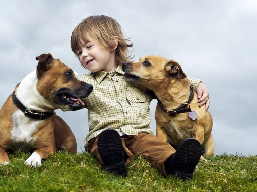 Una mascota ayuda a los niños a expresar sus emociones